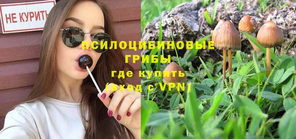 mix Новокубанск