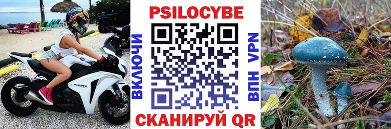 Галлюциногенные грибы GOLDEN TEACHER Заречный